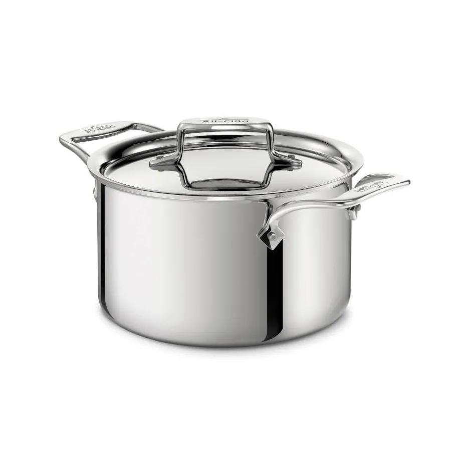All-Clad D5 Stainless Polished 5-ply Stock Pot 4 Quart |