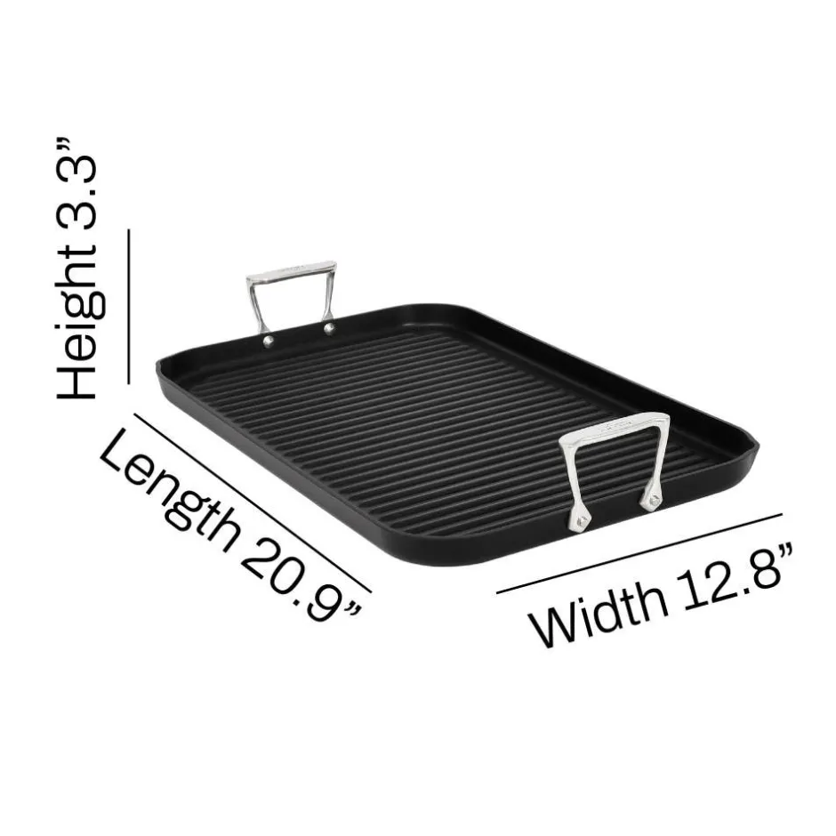 All-Clad Double Burner Grill / Ultimate Grilling with NS Pro