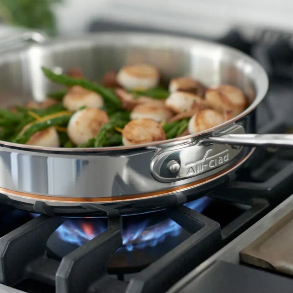 All-Clad 10-Inch Copper Core Fry Pan I
