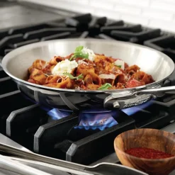 All-Clad 8-Inch Fry Pan / D5 Polished Stainless Steel Compact Cooking