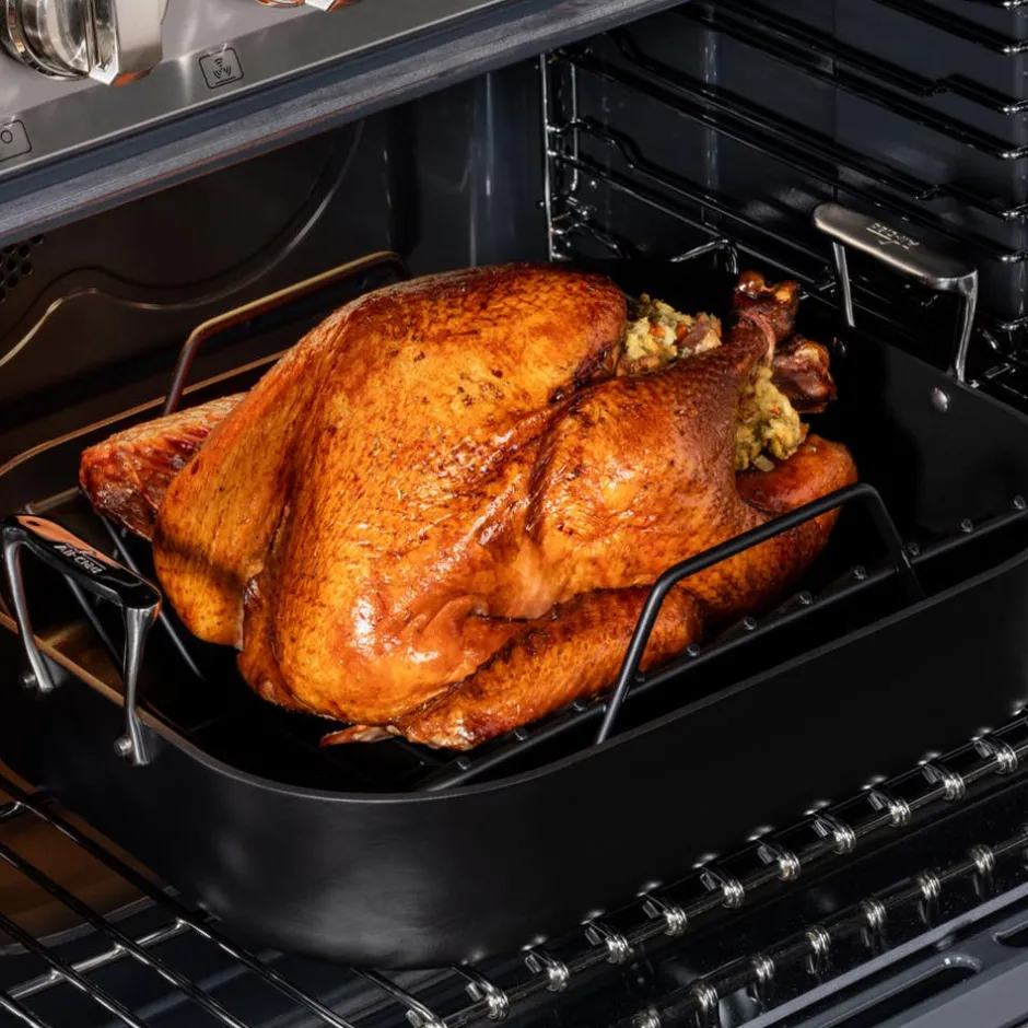 All-Clad NS Pro Nonstick Cookware, Nonstick Roaster, 16 x 13 inch