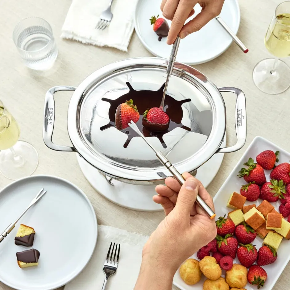 All-Clad 12-Piece Fondue Set, Stainless Steel Fondue Pot I