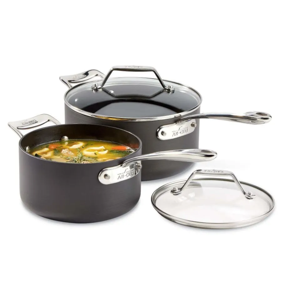 All-Clad 2-Piece Sauce Pan Set / 2.5 and 4 Quart Essentials with Lids