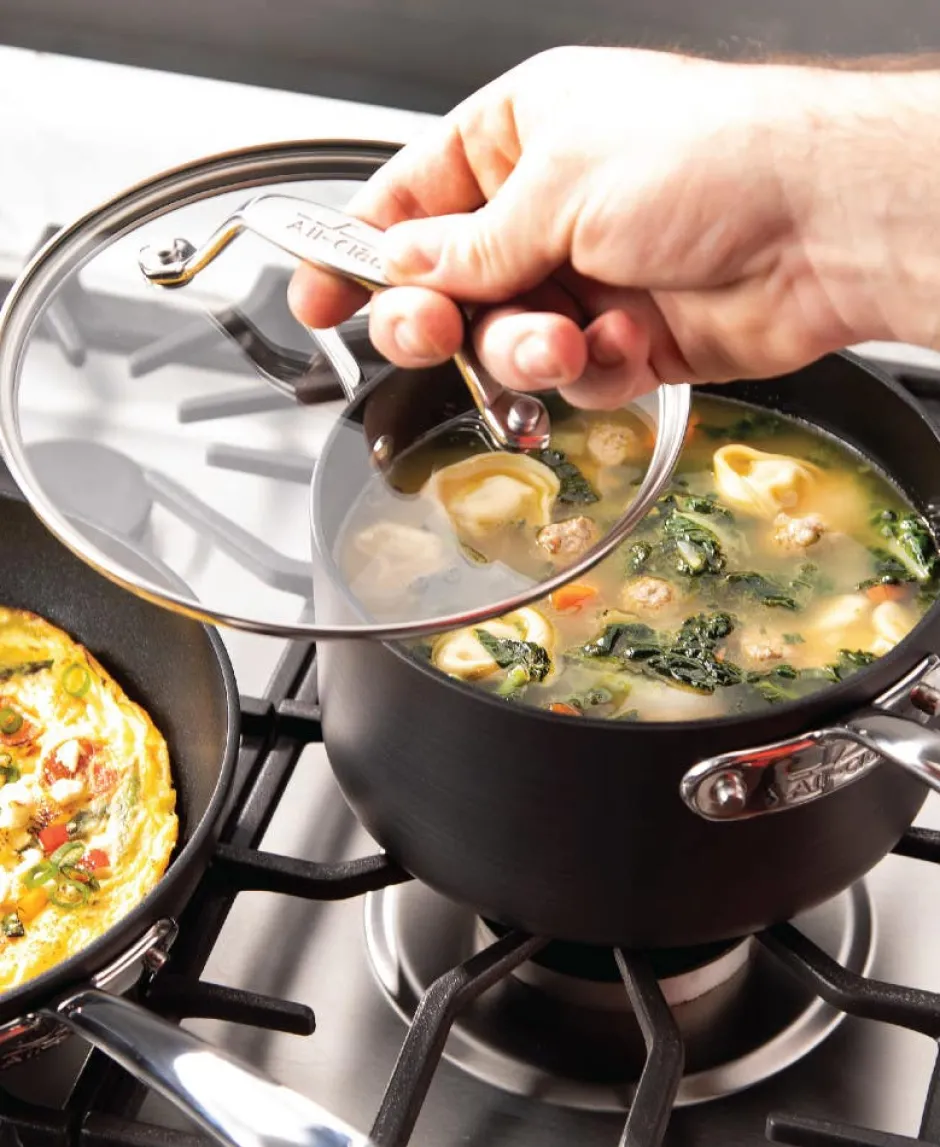 All-Clad 2-Piece Sauce Pan Set / 2.5 and 4 Quart Essentials with Lids