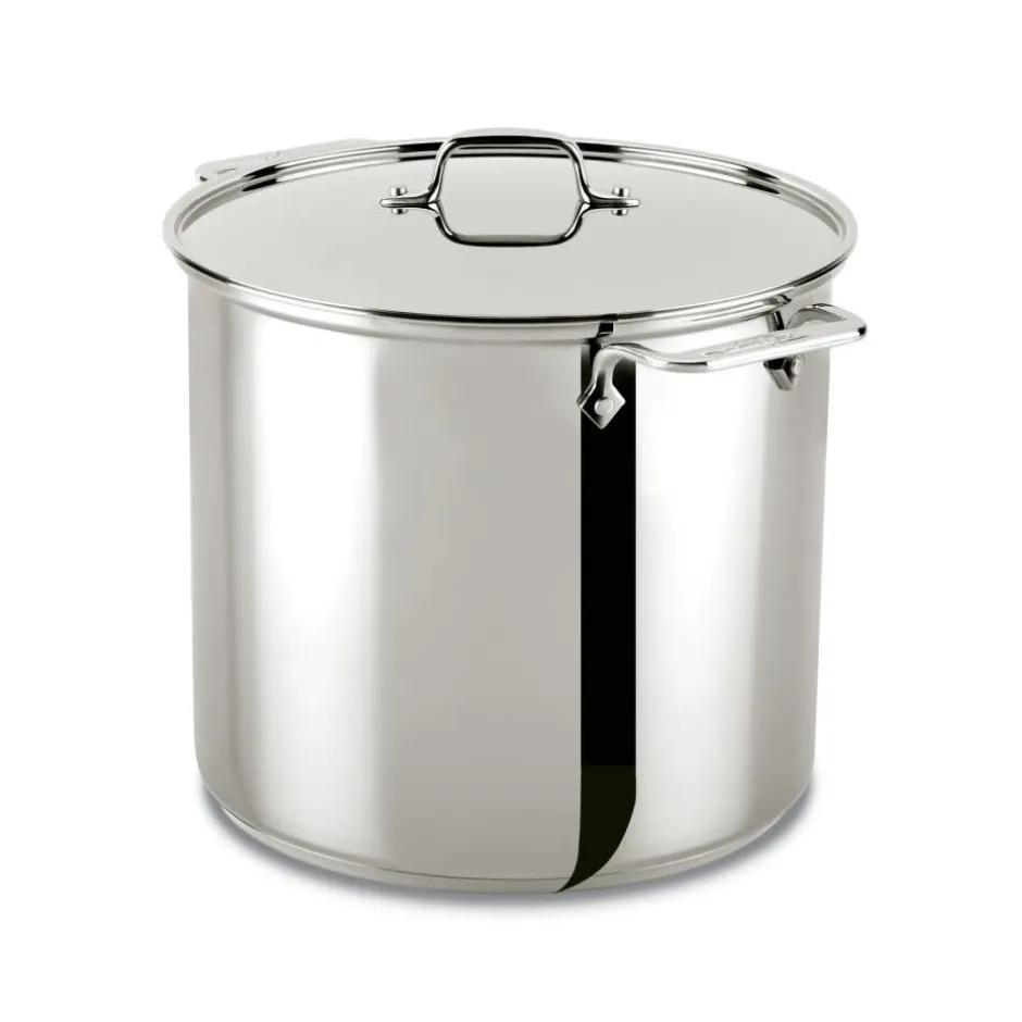 All-Clad 16 Quart | Large Stainless Steel Pot with Lid |