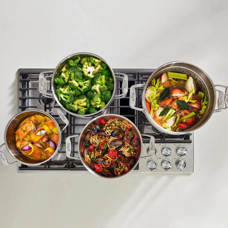 All-Clad 16-Quart Multipot with Insert / Large Capacity, Durability