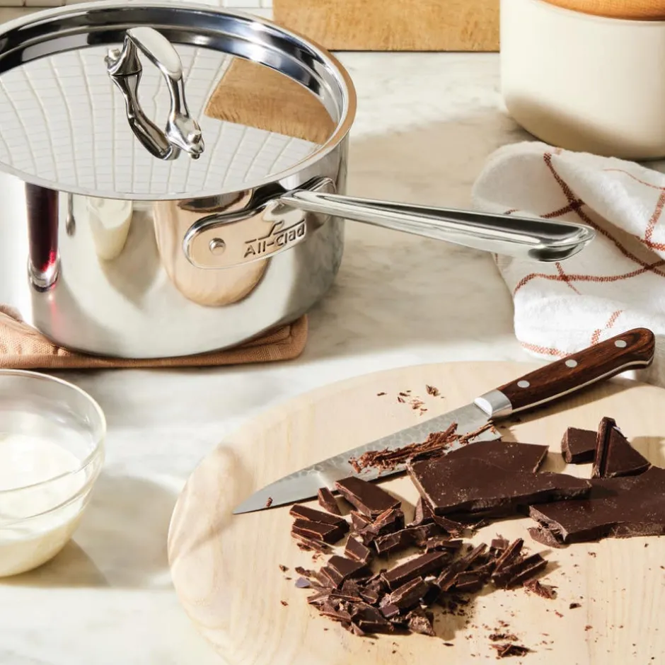 All-Clad 1-Quart Saucepan / Perfect for Sauces and Simmering