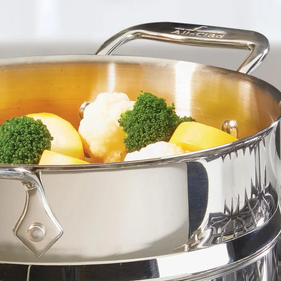 All-Clad 3-Quart Stainless Steel All-Purpose Steamer I
