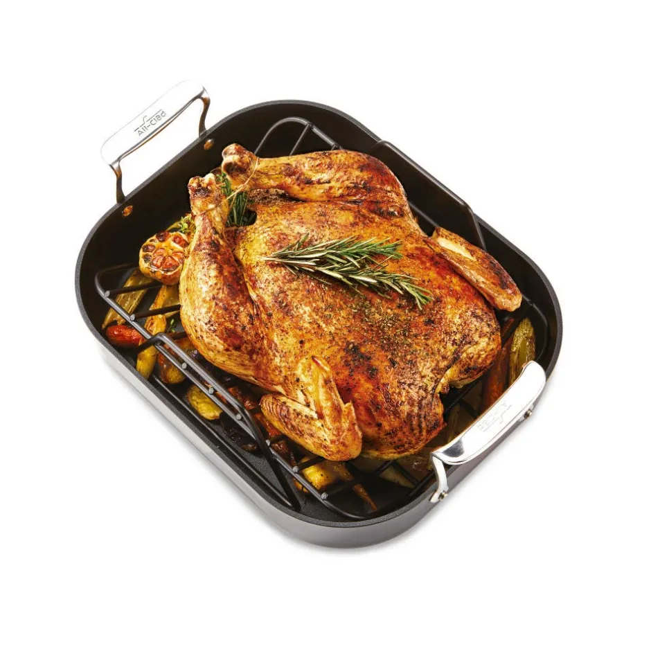 All-Clad Small Roaster with Rack / Essentials Nonstick for Perfect Roasts