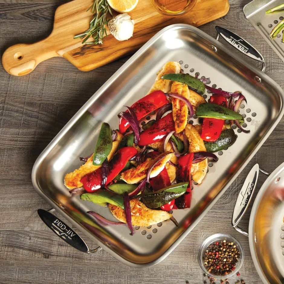 All-Clad Stainless Steel Roaster / Outdoor Grilling Made Easy