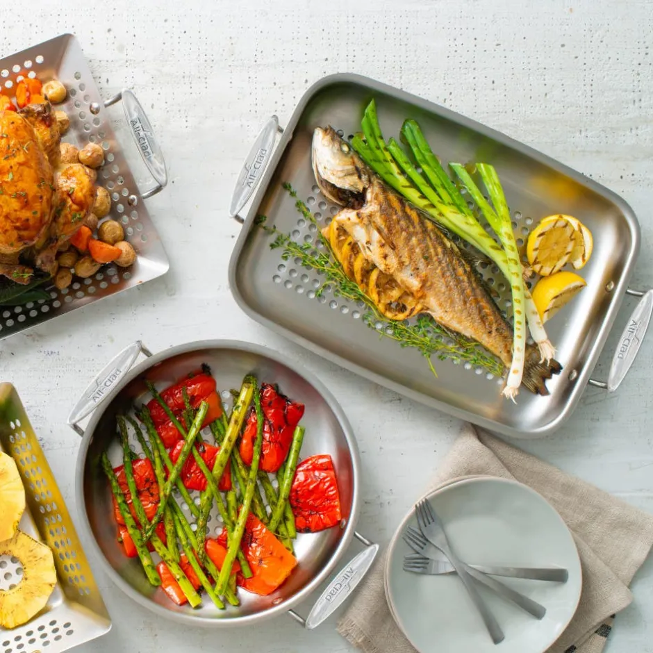 All-Clad Stainless Steel Roaster / Outdoor Grilling Made Easy