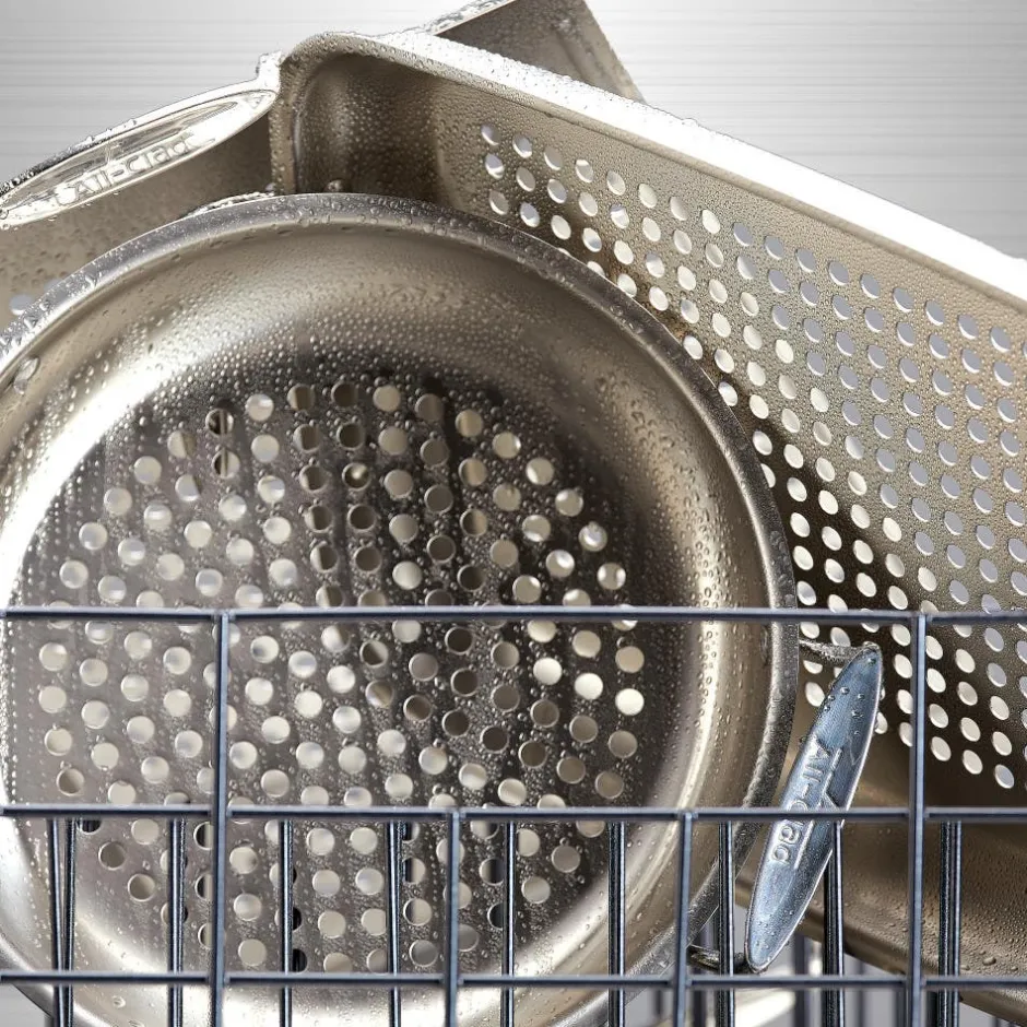 All-Clad Stainless Steel Roaster / Outdoor Grilling Made Easy