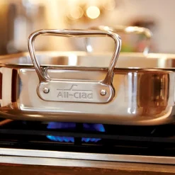 All-Clad Stainless Steel Roaster Rack, Gourmet Accessories |